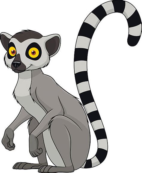 Best Lemur Illustrations, Royalty-Free Vector Graphics & Clip Art - iStock