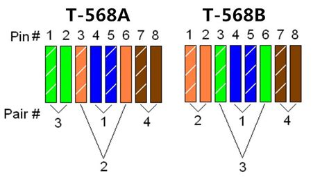 How to Choose the Right Ethernet Cable for Your Network? | by Cloris ...