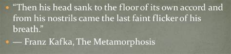 The Metamorphosis Quotes