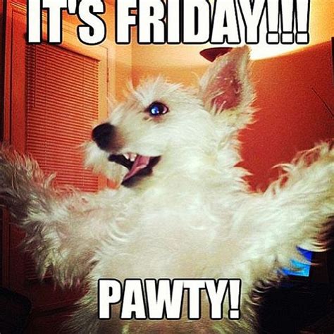 37 Friday Party Meme That Make You Smile - Picss Mine