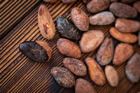 How To Roast Raw Cocoa Beans - Santa Barbara Chocolate