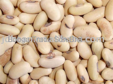 High Quality soybean,Malaysia price supplier - 21food