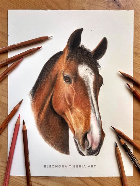 Horse Head Drawing In Pencil