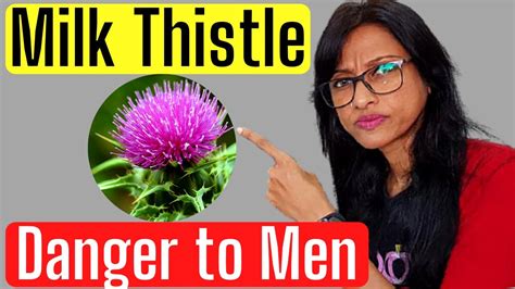 MILK THISTLE Dangerous for Men पुरुषों को ख़तरा Benefits & Side Effects ...