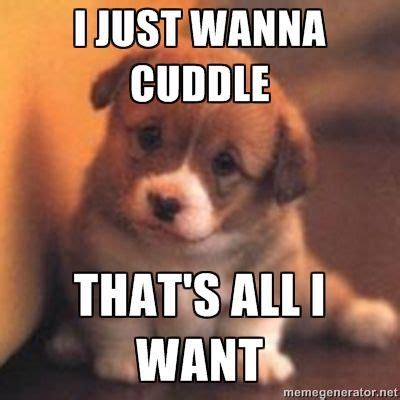 25 Cutest Cuddle Memes - SayingImages.com | Puppy meme, Dog memes ...