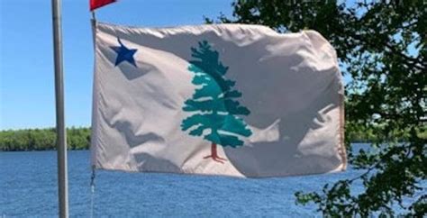 1901 Maine Flag - Etsy