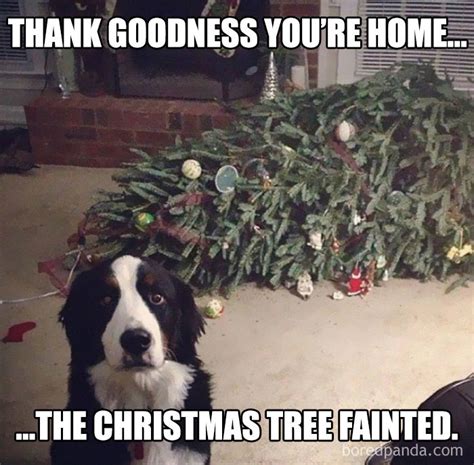 50 Hilarious Christmas Memes | Bored Panda