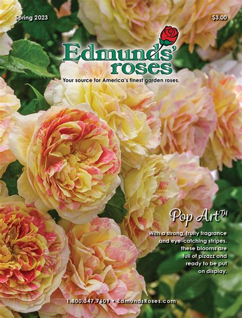 Spring 2023 Edmunds' Roses Catalog, : Edmunds' Roses