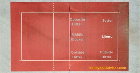 6 Volleyball Positions And Player Roles Explained