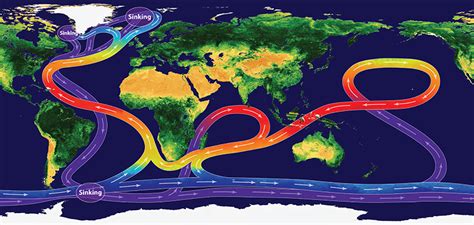 The global ocean 'conveyor belt'. Credit: NOC/V.Byfield. PDF version ...