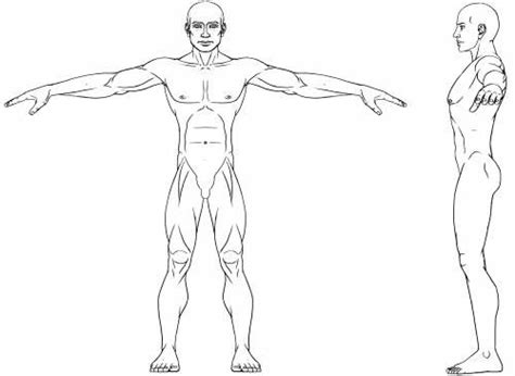 Athletic Male Blueprint