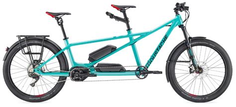 ⚡ 2024 Guide to Electric Tandem Bikes [Updated List]