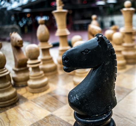 Free stock photo of chess, game, knight