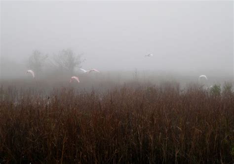 Baytown Nature Center Hike 12-18-2008 - Baytown, Texas