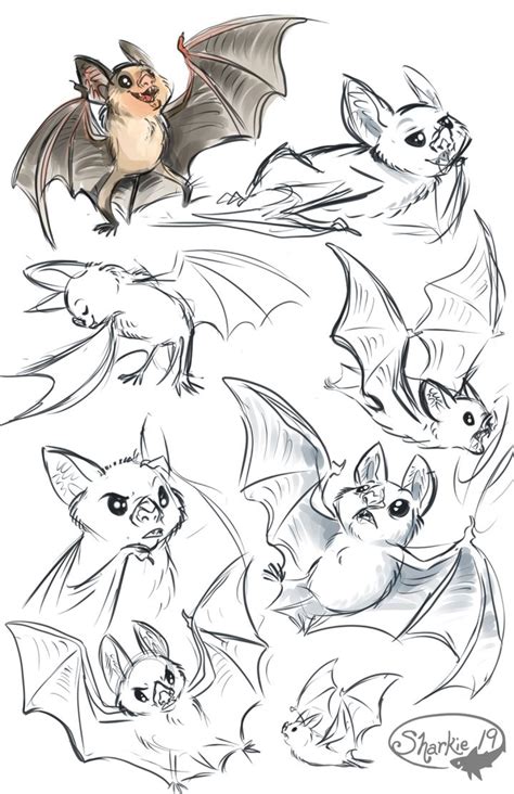 Vampire Bats by sharkie19 on DeviantArt | Animal sketches, Animal ...