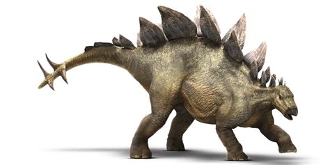 Изображение - Stegosaurus-detail-header.png | Парк Юрского Периода вики ...