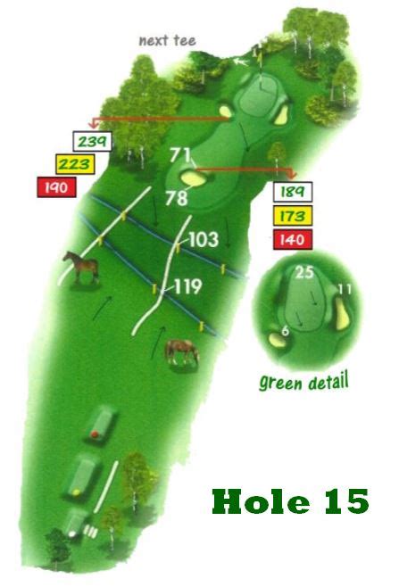 Course - New Forest Golf Club