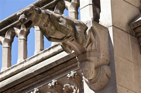 Notre Dame Cathedral Gargoyles: History and Restoration