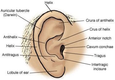 Google Image Result for https://www.researchgate.net/profile/Ahmed_Al ...