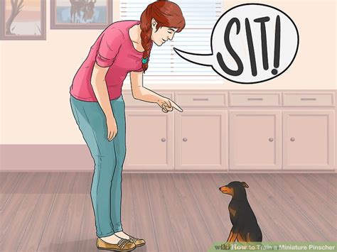 3 Ways to Train a Miniature Pinscher - wikiHow