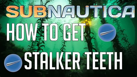 Subnautica - How to get Stalker Teeth guide - YouTube