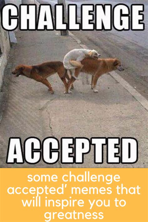 some challenge accepted’ memes that will inspire you to greatness ...