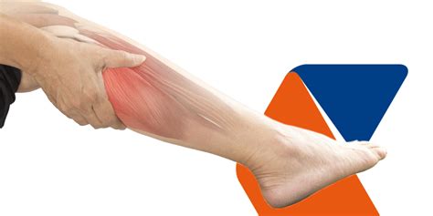 Solve the Biggest Problem of Leg Muscle Pain - Blog on healthcare ...