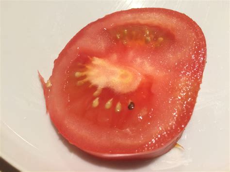 Tomato with a black seed