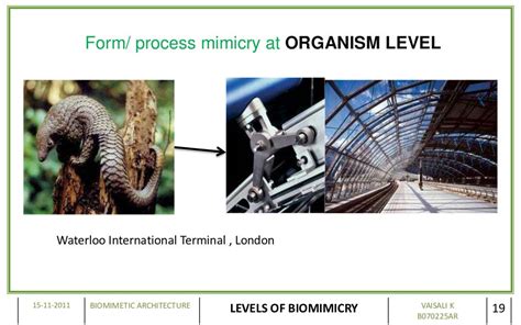 BIOMIMETIC ARCHITECTURE