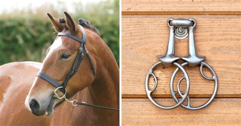 What Is A Snaffle Bit And How Does It Work?