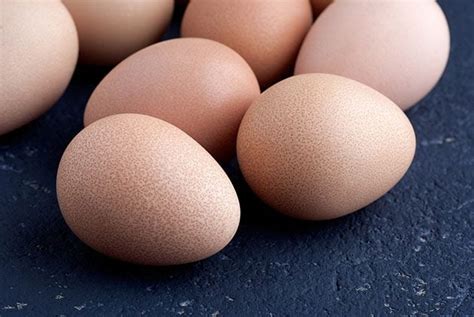 Guinea Fowl Eggs - What You Need to Know - Lady Lee's Home