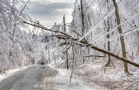 Ice Storm Pictures, Images and Stock Photos - iStock