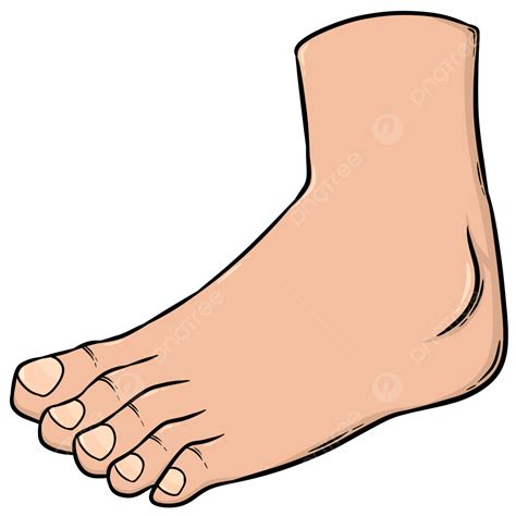 Cartoon Feet, Feet Clipart, Cartoon Clipart, Feet PNG Transparent ...