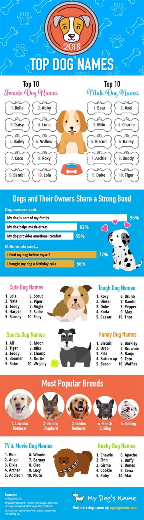 Farewell, Fido. Hello, Trendy Dog Names! | Daily Infographic