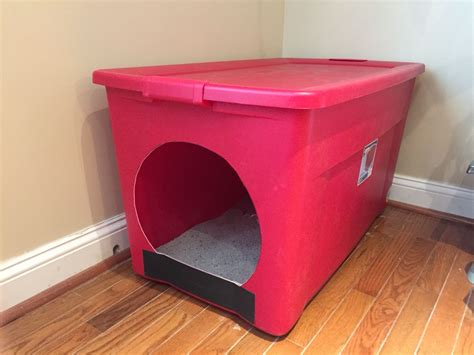 diy cat litter box for big cats - Lanny Esparza