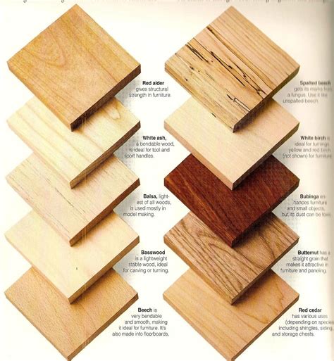 Pin by Dawn S. on Charts & Info-Graphs | Woodworking for kids, Beginner ...