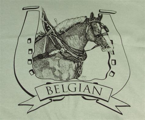 Belgian Draft Horse Head in Harness T-Shirt - Big Black Horse, LLC