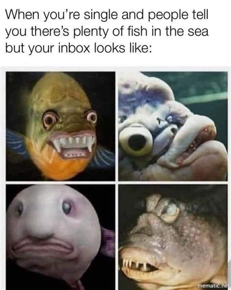 There's plenty more fish in the sea. : r/memes