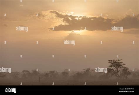 view of Mount Kenya, at sunrise from a distance with clouds above ...