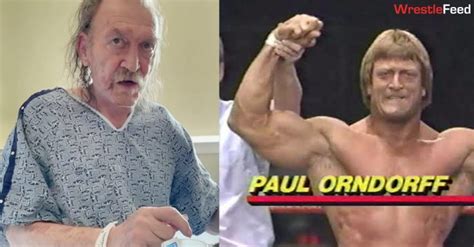 Legendary wrestler Paul Orndorf aka "Mr. Wonderful" dies at 71