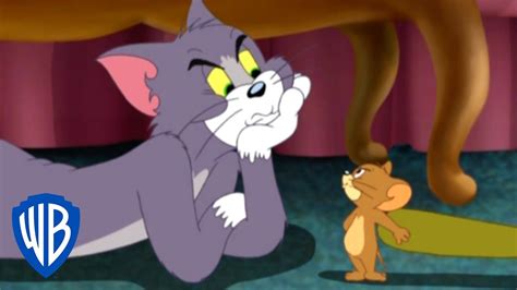 Tom & Jerry | The Household Chase | WB Kids - YouTube