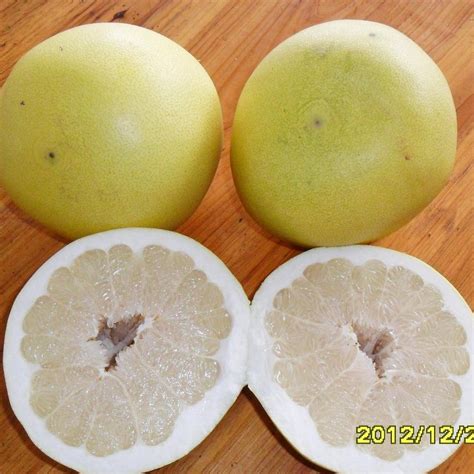 High Quality New Crop Fresh Honey Pomelo - China Pomelo and Citrus Fruit