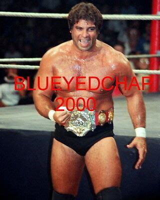 DON MURACO WRESTLER 8 X 10 WRESTLING PHOTO NWA WWF | eBay