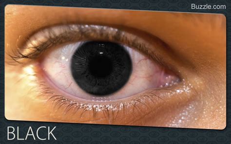 black eyes | Rare eye colors, Eye color facts, Rare eyes