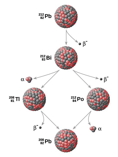 Hominid Species, Campbell Biology, Nuclear Reaction, Atomic Theory ...