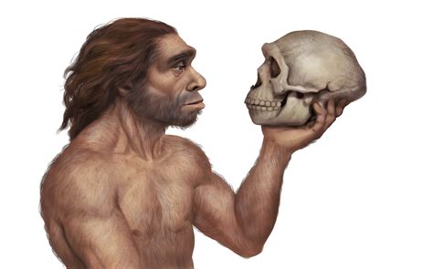 Why neanderthals might be to blame for people more sensitive to pain