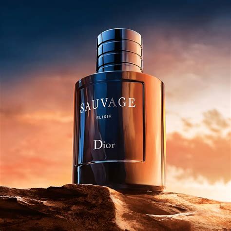 Sauvage Elixir Dior Sale | sims.mpob.gov.my