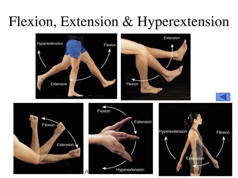 PPT - Chapter 9 Joints PowerPoint Presentation, free download - ID:1703136