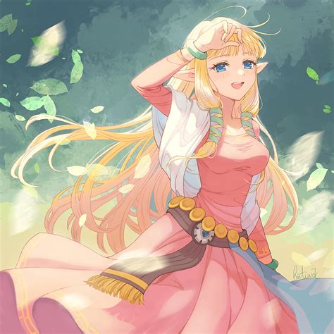 Princess Zelda Skyward Sword Full Body