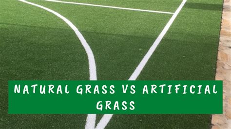 Natural Grass Vs Artificial Grass - Canberra turf solutions